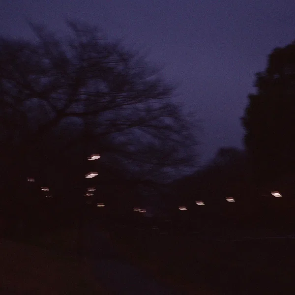 Pale Quiet