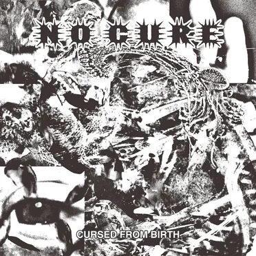 Cursed From Birth by No Cure - album cover
