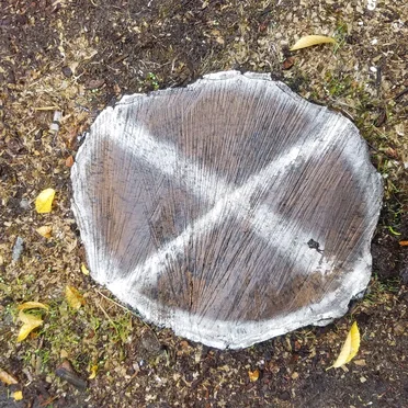 Spiral