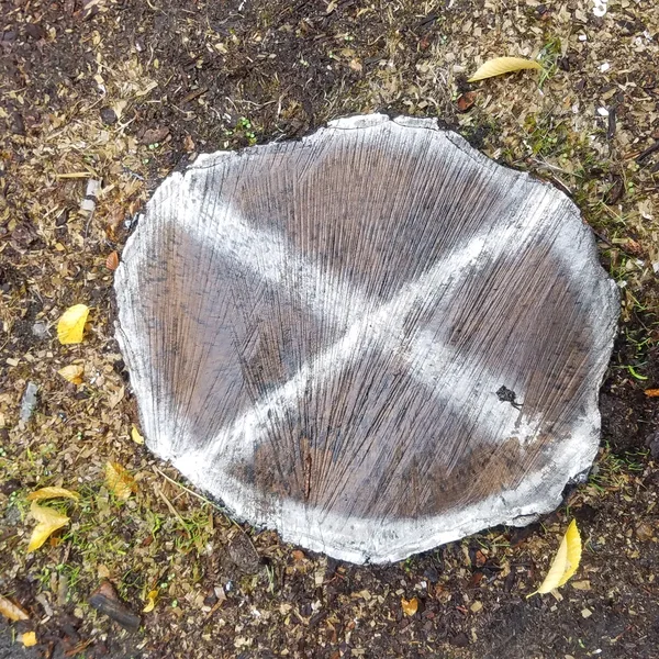 Spiral