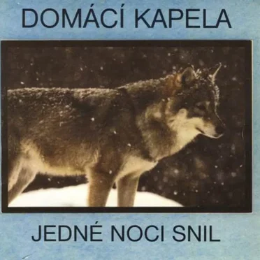 Jedné Noci Snil