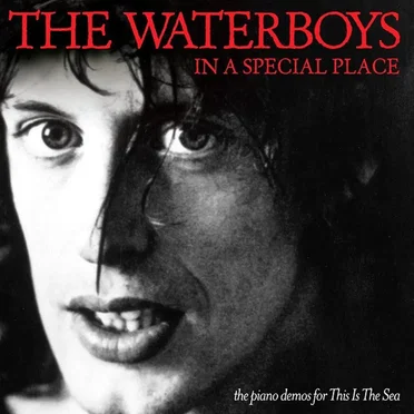 In a Special Place: The Piano Demos for This Is the Sea