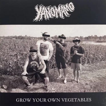 Grow Your Own Vegetables