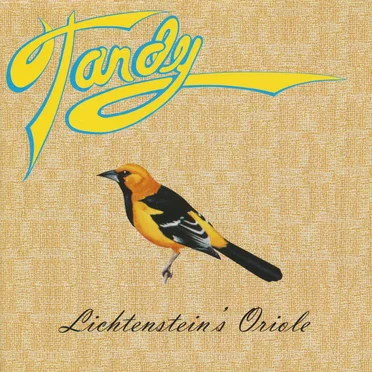 Lichtenstein's Oriole by Tandy - album cover