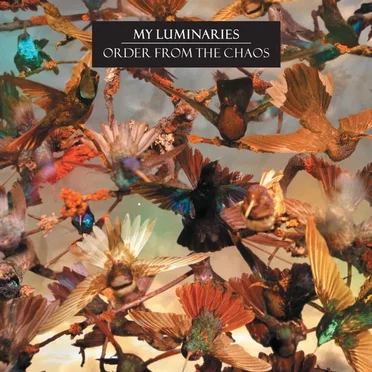 Order From the Chaos by My Luminaries - album cover