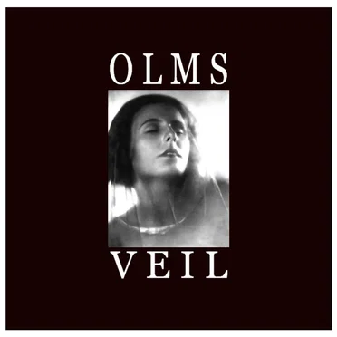 VEIL