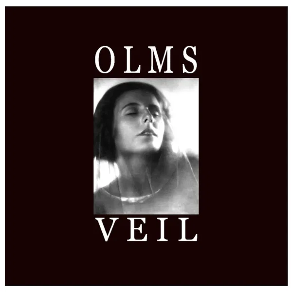 VEIL