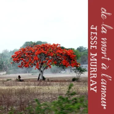 De la mort à l'amour by Jesse Murray - album cover