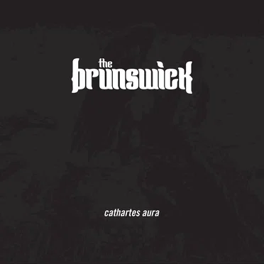 Cathartes Aura