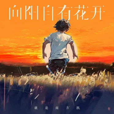 就是南方凯