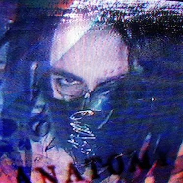 Fleshlike plastic by Lord Gasp - album cover
