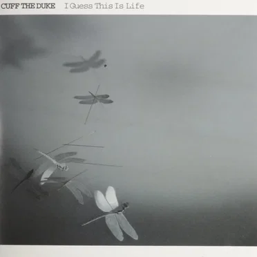 I Guess This Is Life