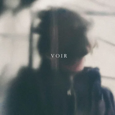 Voir by Matic Mouth - album cover