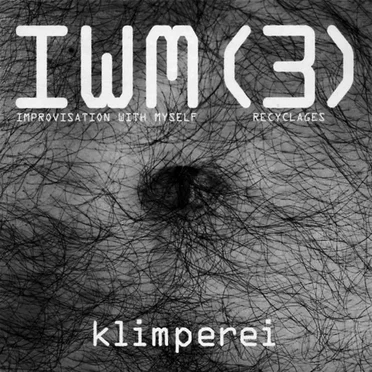 IWM (3) - Improvisation With Myself - Recyclages