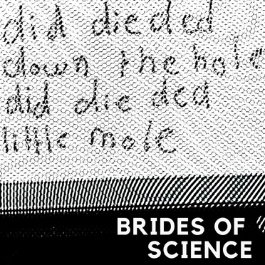 Brides of Science by Brides of Science - album cover