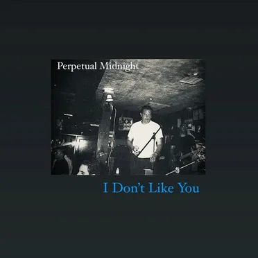 I Dont Like You