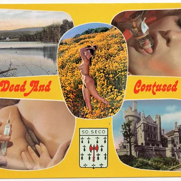 Dead and Contused