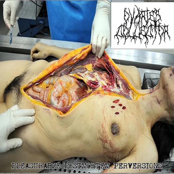Pleasurable Postmortem Perversions