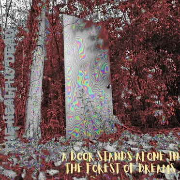 A Door Stands Alone in the Forest of Dreams