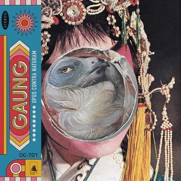Opus Contra Naturam by Gaung - album cover