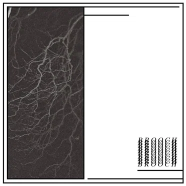 Blood Spitting / Broken Glass by Brooch - album cover