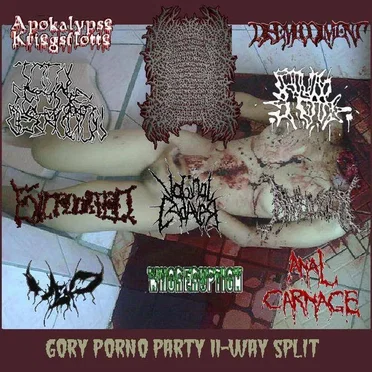 Gory Porno Party 11-Way Split by Various Artists - album cover