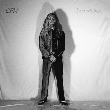 Dichotomy Desaturated by CFM - album cover