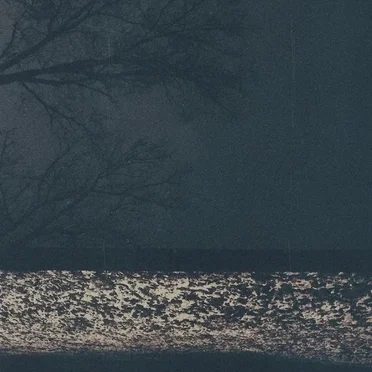 Virgo Indigo by Fog Lake - album cover