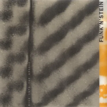 Dive Into the Groove by Funk'n'stein - album cover