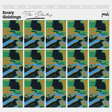 The Shakes by Scary Goldings - album cover