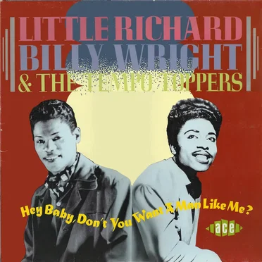 Hey Baby, Don't You Want a Man Like Me by Various Artists - album cover