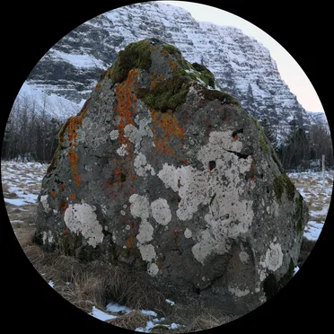MOA104