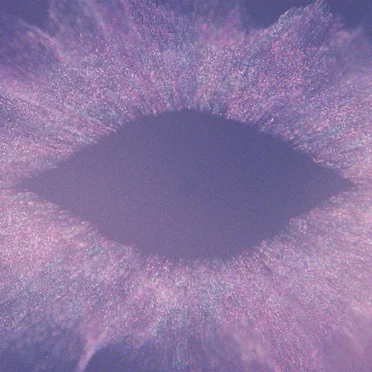 Music for Psychedelic Therapy