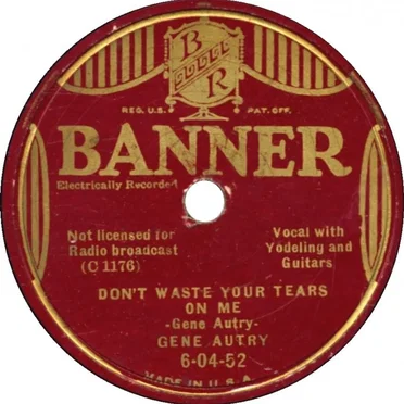 Nobody's Darling But Mine / Don't Waste Your Tears On Me