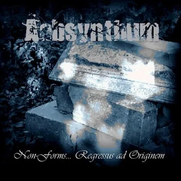 Non Forms... Regressus Ad Originem by Aabsynthum - album cover