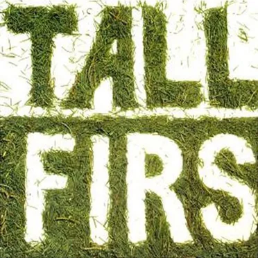 Tall Firs