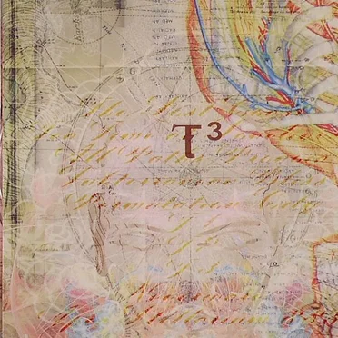 T³