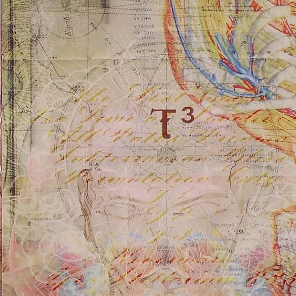 T³