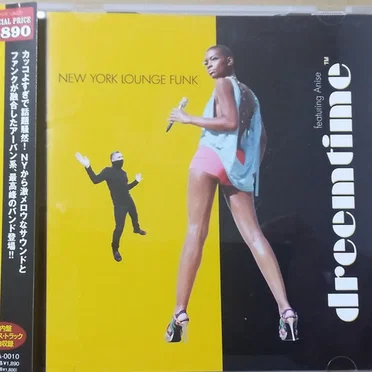 New York Lounge Funk by Dreemtime - album cover