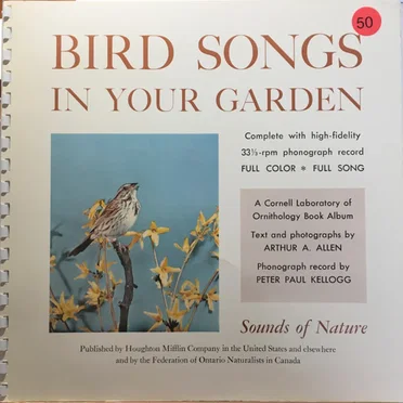 Bird Songs in Your Garden