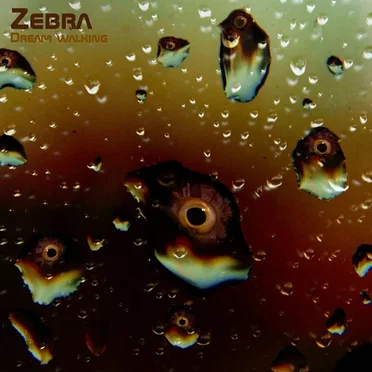 Dream Walking by Zebra - album cover