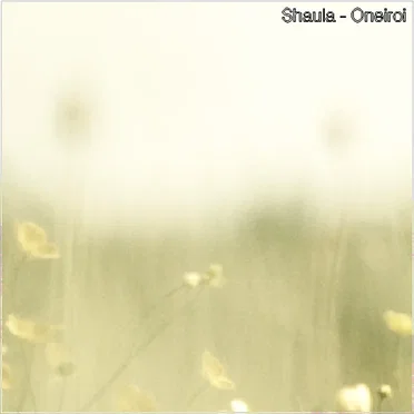 Oneiroi by Shaula - album cover