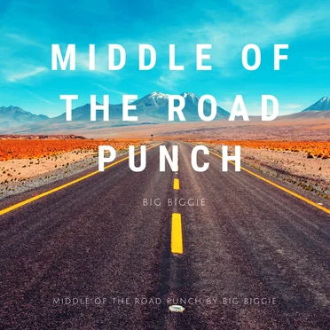 Middle of the Road Punch