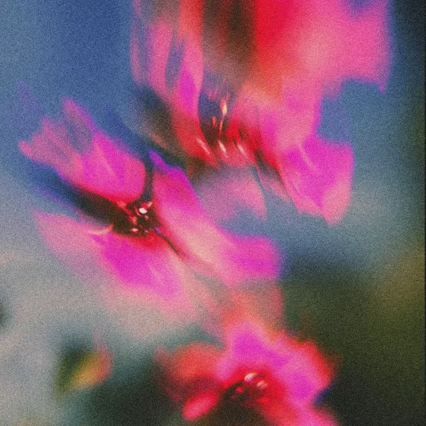 I Don't Come Here No More