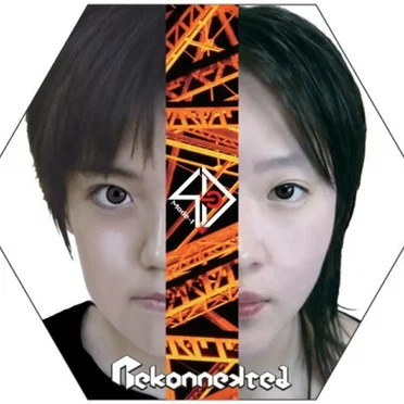 Rekonnekted