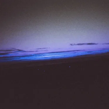 Day By Day by Fiji Blue - album cover