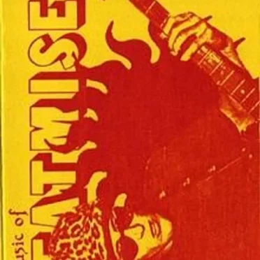The Music of Heatmiser