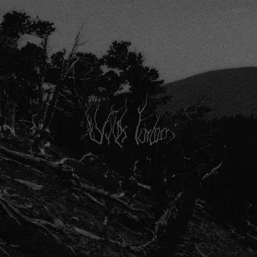 Bellum Omnium Contra Omnes by Wilds Forlorn - album cover