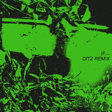If.... (Ditz remix) by bdrmm - album cover