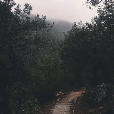 No Turning Back
